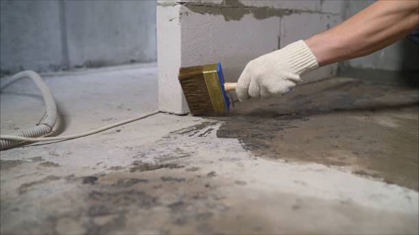Top rated local Waterproofing specialists in Woodlawn, VA